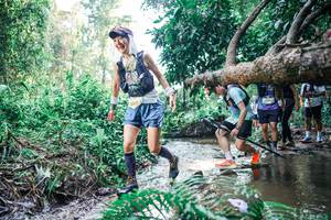 BIB: 
                            <button type="button" onclick="openModal(25459989)" class="btn btn-primary btn-sm float-right btn-popup" data-toggle="modal" data-target=".modal-high-quality">
                        <i class="fas fa-shopping-cart"></i> Add to Cart
                    </button>
                                            <button type="button" onclick="isThisMe(25459989, true)" class="btn btn-success btn-sm float-right btn-popup btn-isme hidden" data-toggle="tooltip" data-placement="bottom" title="นี่คือรูปของคุณใช่ไหม คลิกที่นี่เพื่อเอาเข้าอัลบั้ม">
                        <i class="fas fa-plus"></i> Add to album
                    </button>
                    <button type="button" onclick="isThisMe(25459989, false)" class="btn btn-warning btn-sm float-right btn-popup btn-isnotme hidden">
                        <i class="fas fa-ban"></i> Remove from album
                    </button>